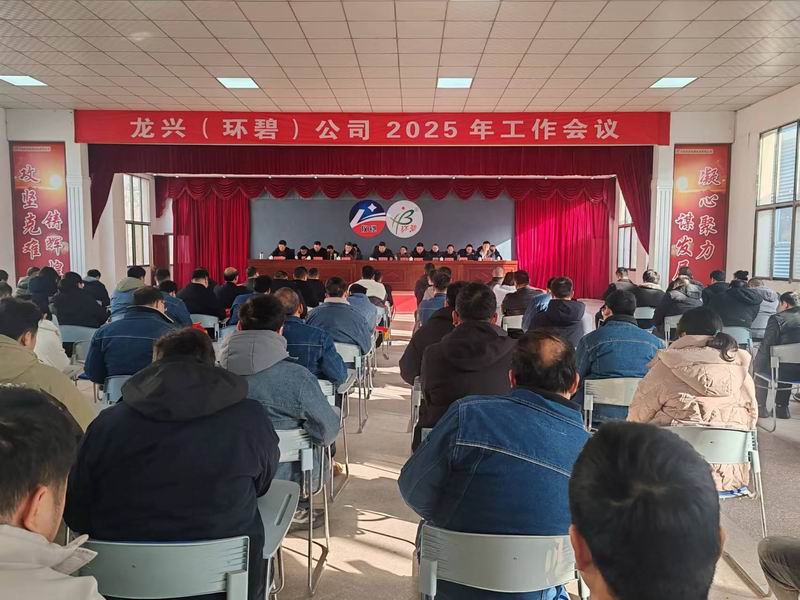 龙兴（荣耀体育(中国)官网）公司召开2025年工作会议